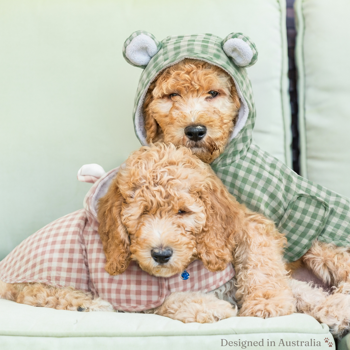 Luxury Dog Drying Robe