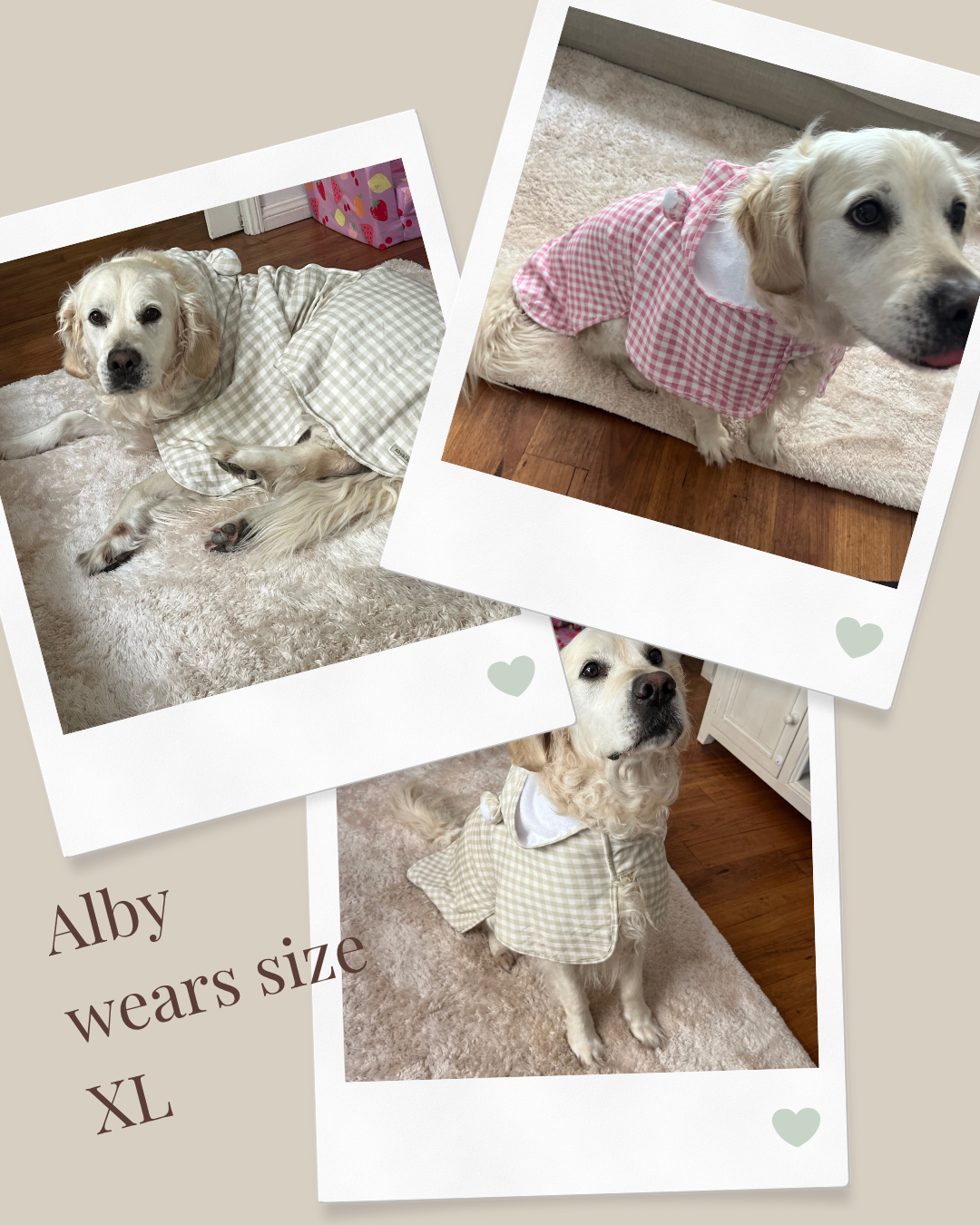 Luxury Dog Drying Robe