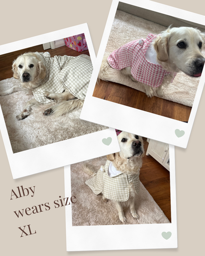 Luxury Dog Drying Robe