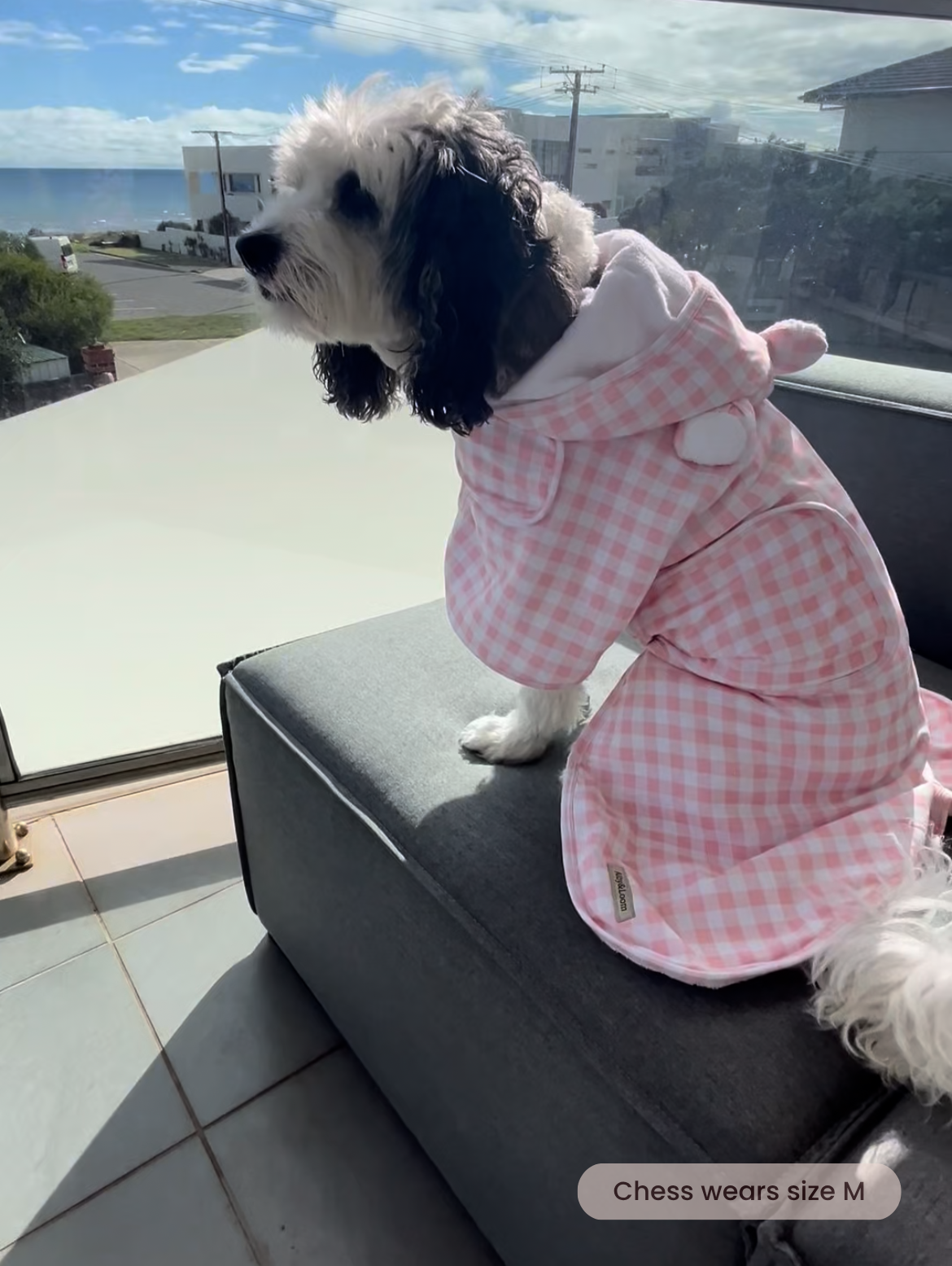 Luxury Dog Drying Robe